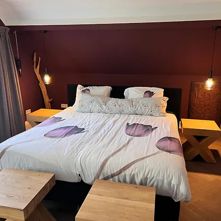 4pers Luxe Wellnessvilla Met Sauna, Jacuzzi En Prive Villa *