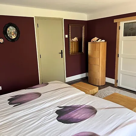 4pers Luxe Wellnessvilla Met Sauna, Jacuzzi En Prive *