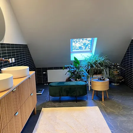 Villa 4pers Luxe Wellnessvilla Met Sauna, Jacuzzi En Prive